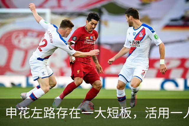 申花左路存在一大短板，活用一人可化解难题，陈晋一最佳替身是他